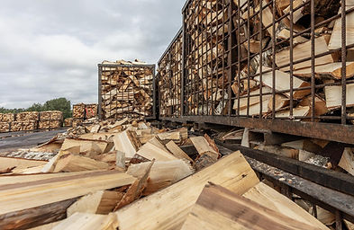 Sustainability — responsible forestry